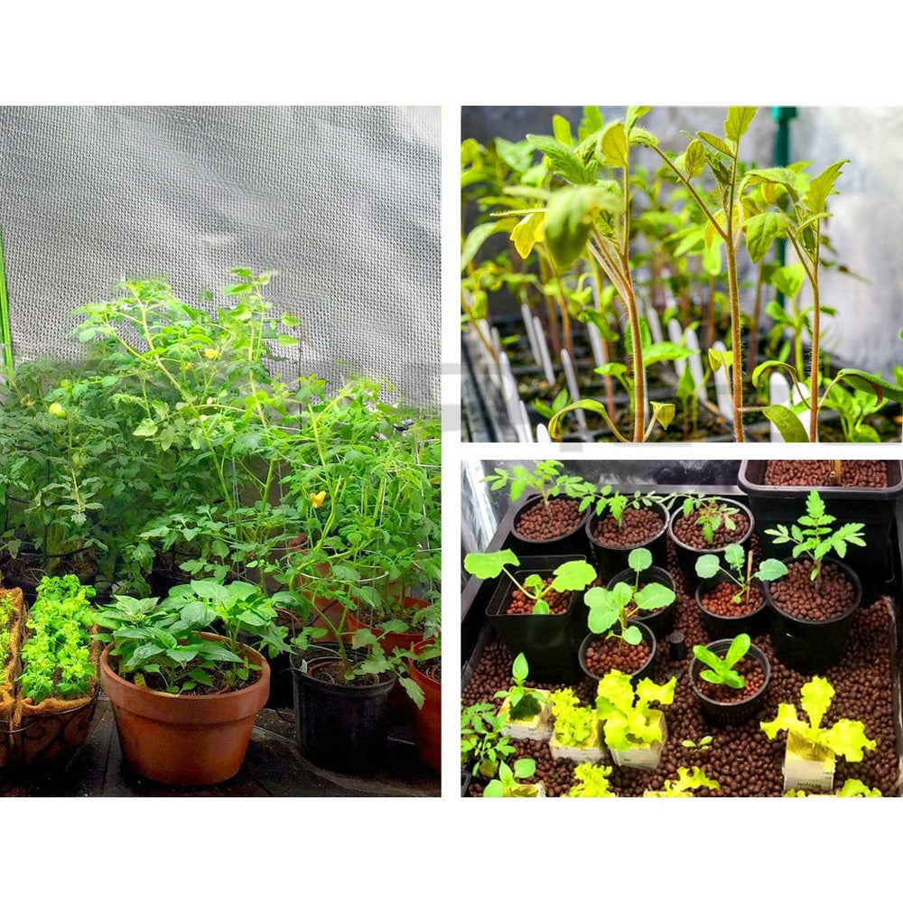 60cm x 60cm x 90cm Hydroponics Grow Tent